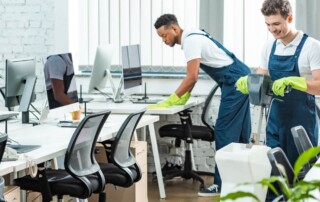 Diversity Cleaning