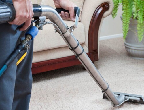 Training for Carpet Cleaning: A Complete Guide to Professional Skills and Best Practices