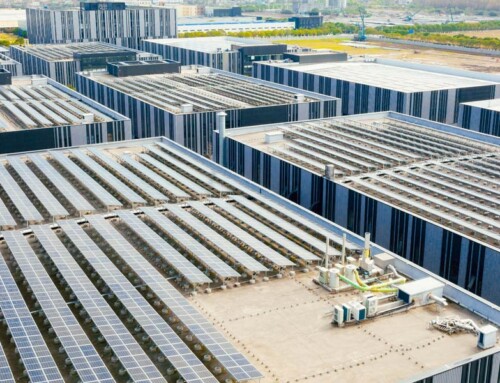 Sustainability in Facility Management: Driving Value Through Clean
