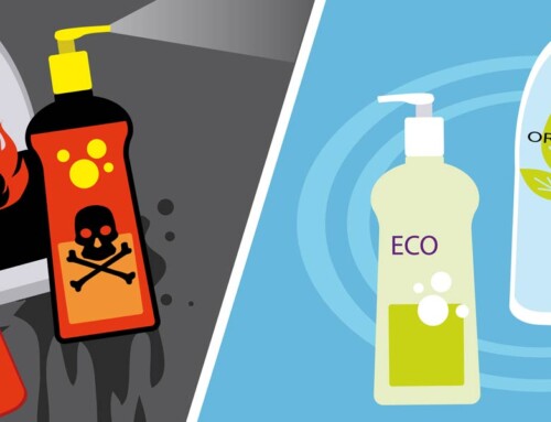 What Is a Sustainable Product? A Practical Guide for Facilities