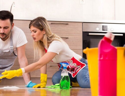 House Cleaning Training: Skills, Certifications & Best Practices