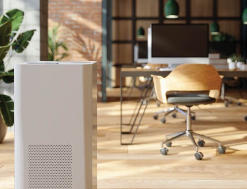 Holistic Strategies for Healthy Buildings