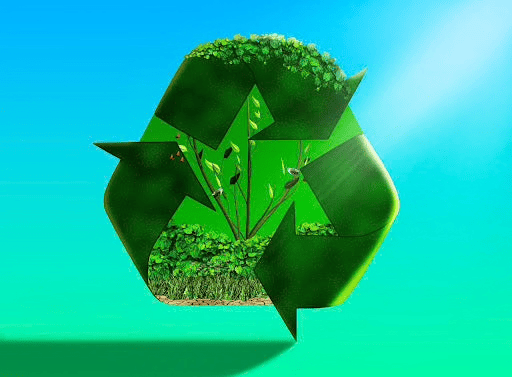 Cleaning_as_Ecosystem_Engineering