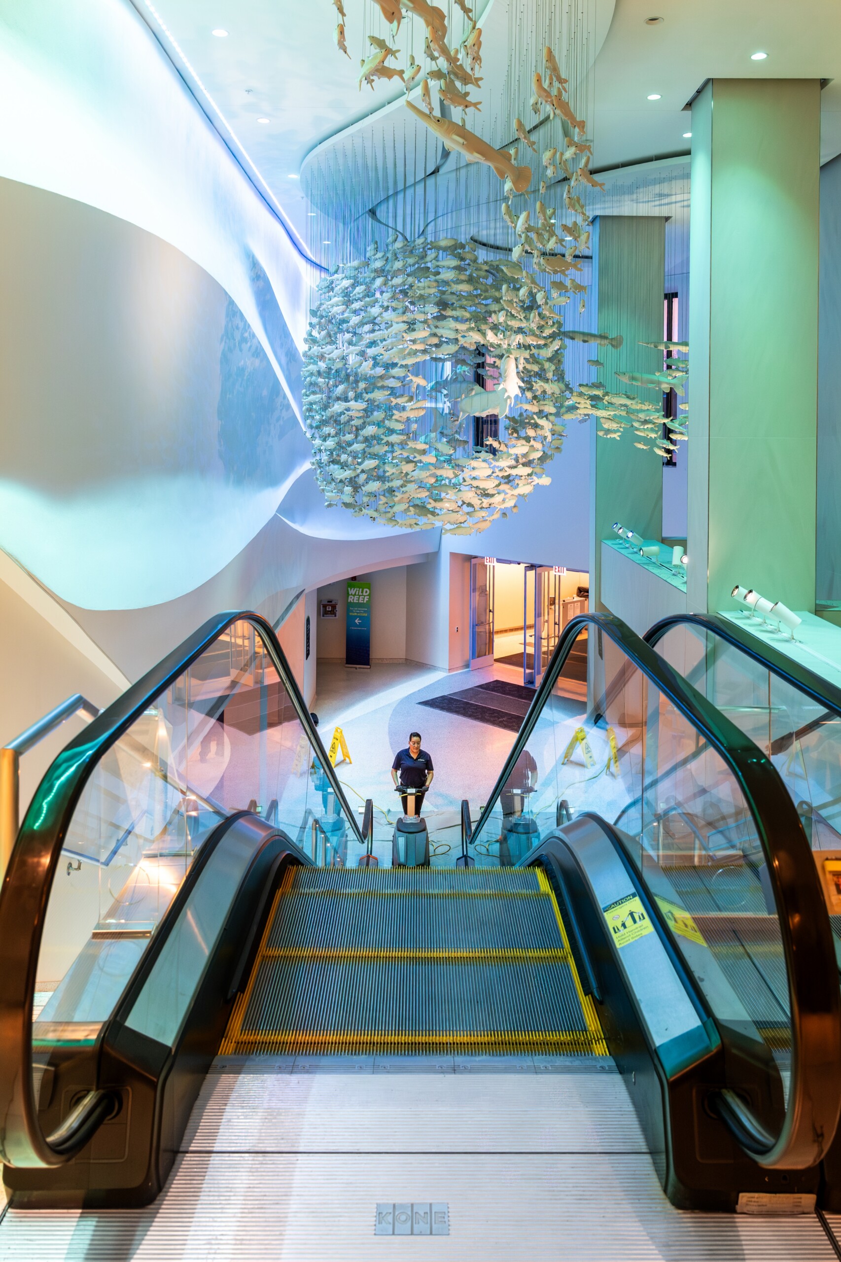 Shedd Crescent- Atrium Escalator_4068