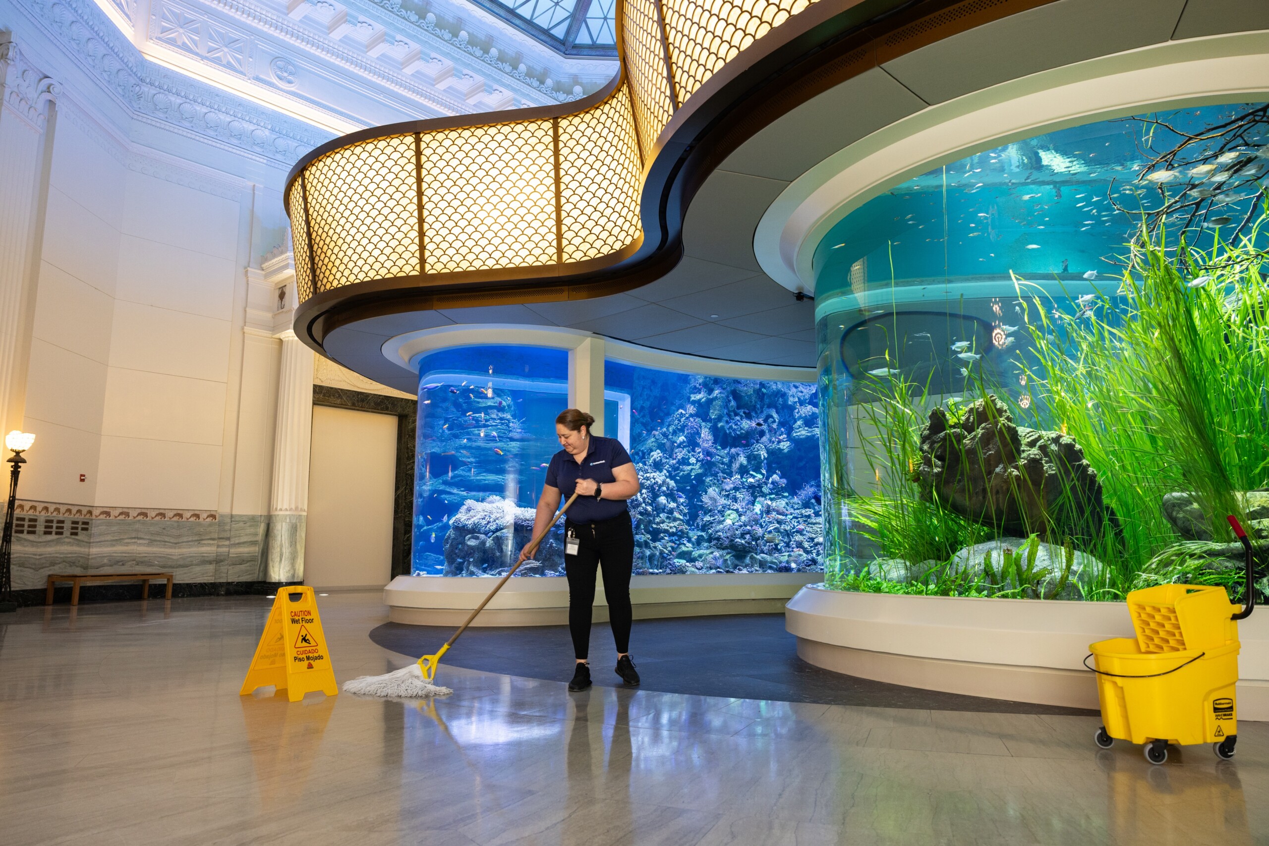 Shedd Crescent- Wonder of Water_419