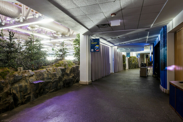 Shedd- Oceanarium Walkway_1786