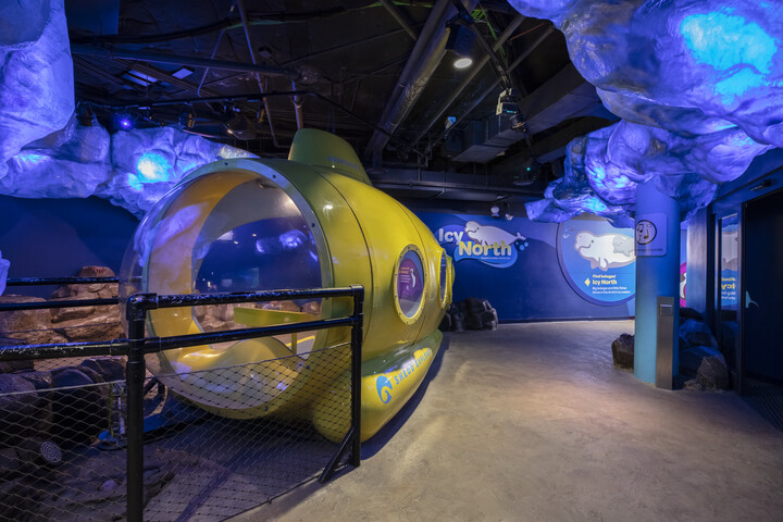 Shedd- PPZ Submarine_6444