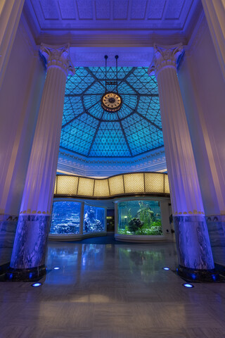 Shedd- WoW Main Photo